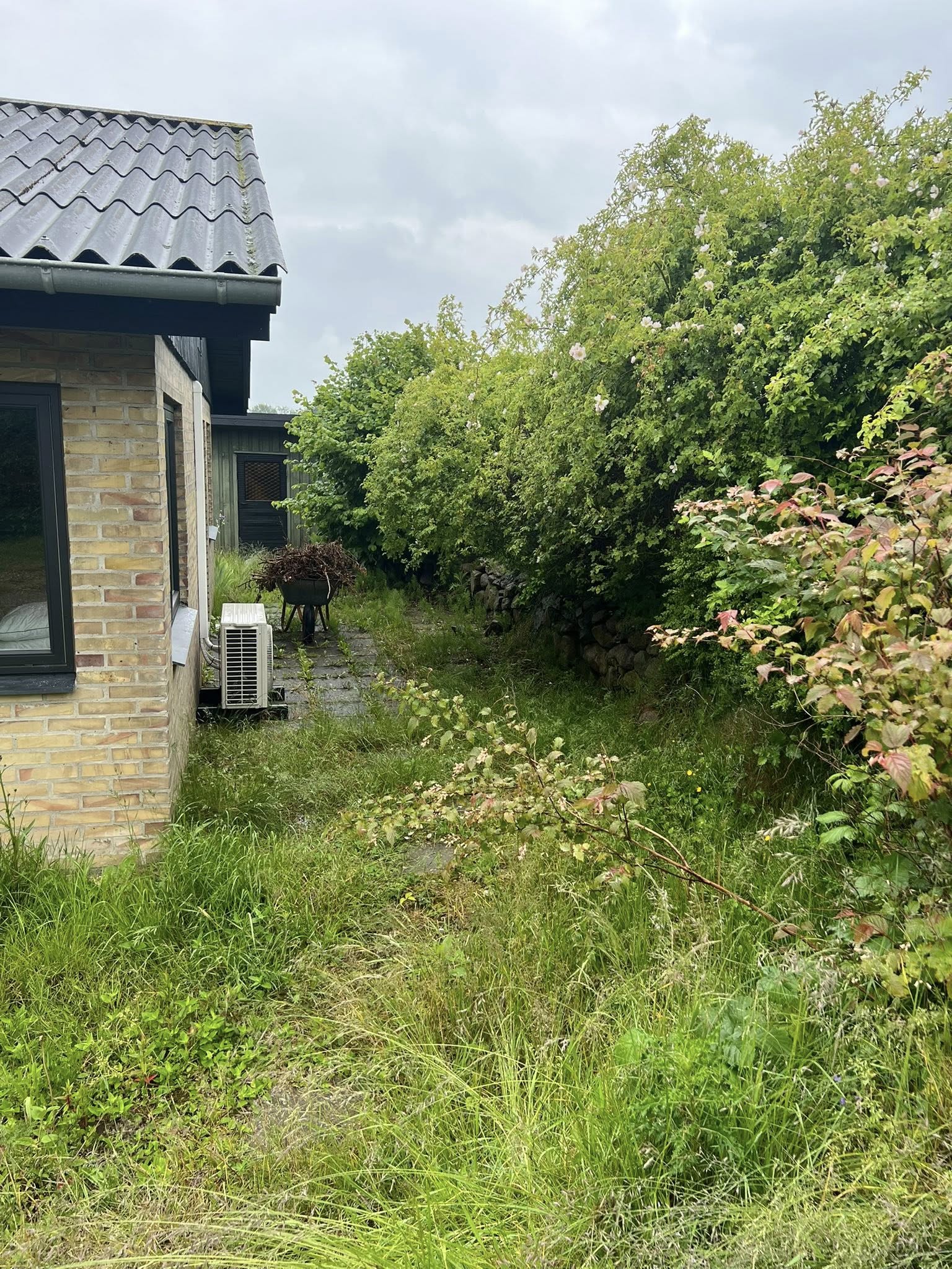 Hæk før